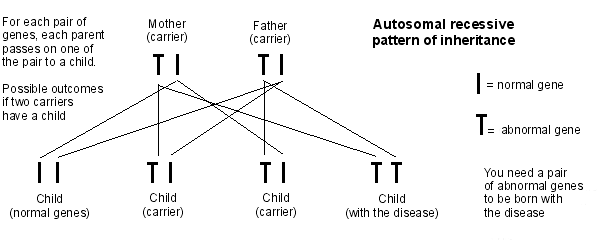 autosomal recessive pattern of inheritance